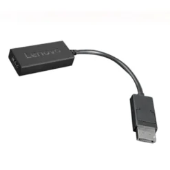 Adapter Lenovo - DisplayPort / HDMI - 22,5 cm