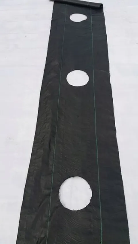 Agrotkanina OTWORY pod TUJE MALINY BORÓWKE KRZEWY itp. 0,8x10m
