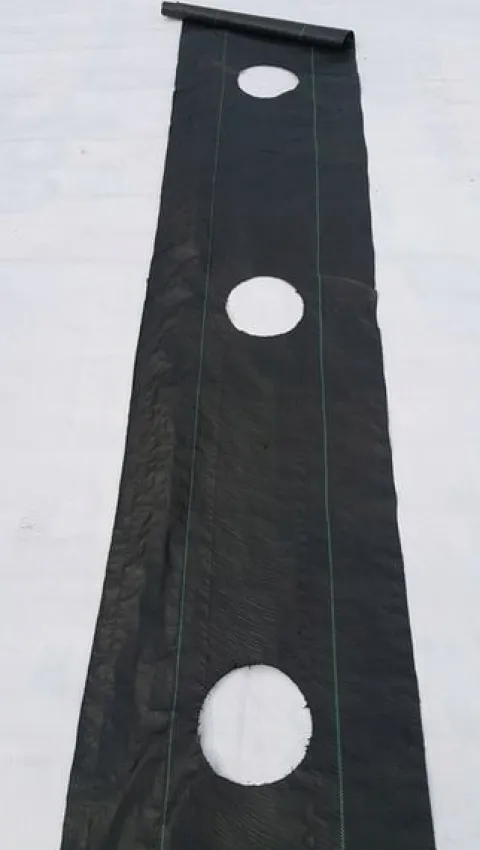 Agrotkanina OTWORY pod TUJE MALINY BORÓWKE KRZEWY itp. 0,8x10m