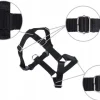 AMIPLAY SZELKI GUARD SAMBA M CZARNY