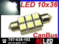 żarówka LED 6 LED Power SMD 10x36 mm 36mm biała zimna 12v canbus