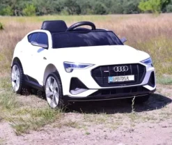 AUTO NA AKUMULATOR AUDI E-TRON SPORTBACK NAJLEPSZA WERSJA/QLS6688