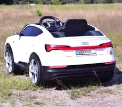 AUTO NA AKUMULATOR AUDI E-TRON SPORTBACK NAJLEPSZA WERSJA/QLS6688