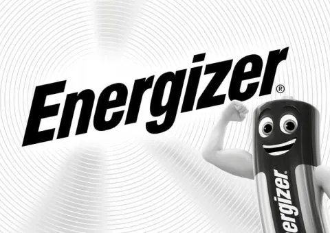 Bateria R20 LR20 D Alkaliczna Energizer 6 szt 1,5V L
