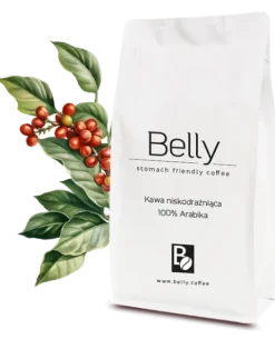Belly Coffee - Kawa Niskodrażniąca 1kg - ziarna (od producenta)