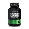 BioTech USA - Tribulus Maximus - 90 tabletek