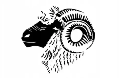 Damskie Skarpety Narciarskie BRUBECK MERINO WOOL ZIMOWE TERMICZNE WEŁNA