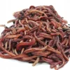 Dżdżownice kalifornijskie, dendrobena veneta 1kg