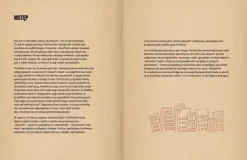Detektyw Wróbel i tajemniczy przybysze