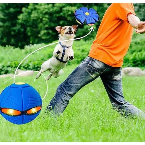 Dyskopiłka Frisbee 2w1 Latający Dysk Ufo Piłka Zabawka Do Rzucania