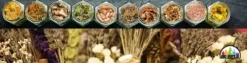 Galangal mielony w proszku suszony przyprawa korzeń azjatycki jak imbir 100g