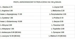 GenLab - Gain Support Professional - 4 kg wanilia-migdał