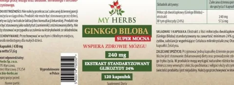 Ginkgo biloba 240mg 120szt pamięć koncentracja forte witalność Super Mocna