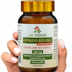Ginkgo biloba 240mg 120szt pamięć koncentracja forte witalność Super Mocna