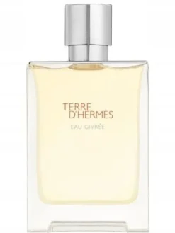 HERMES TERRE D'HERMES EAU GIVREE EDP 100 ML FLAKON