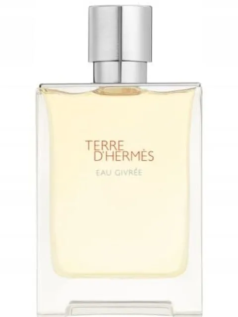 HERMES TERRE D'HERMES EAU GIVREE EDP 100 ML FLAKON