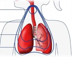 INHALATOR DZIECI NEBULIZATOR FLAEM GHIBLI PLUS RF6 2TRYBY 2MASKI SOFT TOUCH