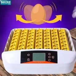 Inkubator do jaj automatyczny klujnik wylęgarka hodowla drobiu owoskop 56