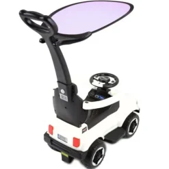 JEŹDZIK, ODPYCHACZ COLL BABY Z DŹWIĘKAMI I DASZKIEM/TC-902