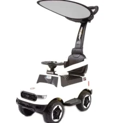 JEŹDZIK, ODPYCHACZ COLL BABY Z DŹWIĘKAMI I DASZKIEM/TC-902