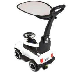 JEŹDZIK, ODPYCHACZ COLL BABY Z DŹWIĘKAMI I DASZKIEM/TC-902