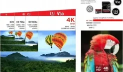 Karta micro SD SANDISK EXTREME 256GB 190/130 V30