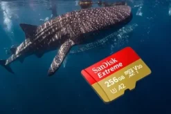 Karta pamięci SANDISK Extreme microSDXC 256GB