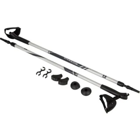 Kije nordic walking BEST SPORTING 2-sekfencje