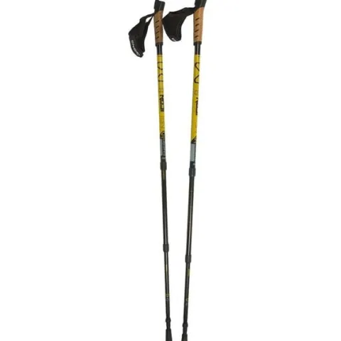 Kije Nordic Walking ENERO Newicon + Pokrowiec