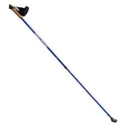 Kije treningowe Nordic Walking NW607 niebieskie Nils Extreme