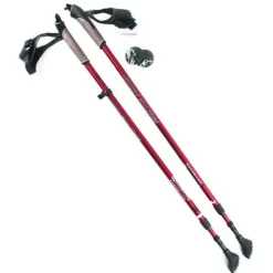 Kije treningowe Nordic Walking NW802 Nils Extreme