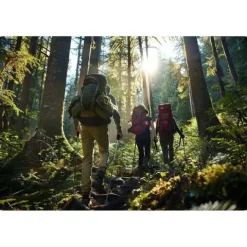 Kijki trekkingowe NS-381 Neo-Sport