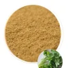 Kolendra mielona w proszku przyprawa do hummus 100g