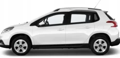 KOŁPAKI 14'' PEUGEOT 107 206 306 405 Partner - BSS