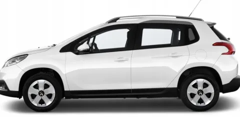 KOŁPAKI 14'' PEUGEOT 107 206 306 405 Partner - BSS