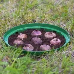 Koszyk do cebulek okrągły 18cm | Zieleń trawiasta