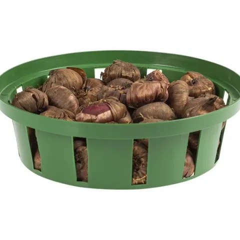 Koszyk do cebulek okrągły 18cm | Zieleń trawiasta
