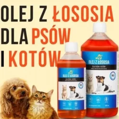 LAB V Olej z łososia dla psa i kota 5000ml 5L