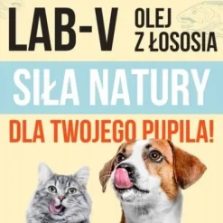LAB V Olej z łososia dla psa i kota 5000ml 5L