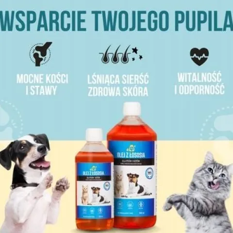 LAB V Olej z łososia dla psa i kota 5000ml 5L