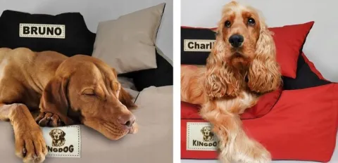 Legowisko dla psa kojec KINGDOG 115x95 personalizowane wodoodporne brązowe