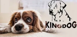 Legowisko dla psa kojec KINGDOG 115x95 personalizowane wodoodporne brązowe