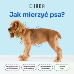 Lekkie Szelki dla Dużego Psa GUARD Bezuciskowe Regulowane Solidne Mocne r.L