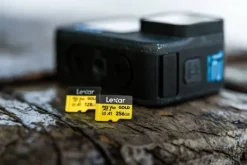 Lexar microSDXC Gold 256GB UHS-II U3 V60 A1 R 280MB/s W 180MB/s