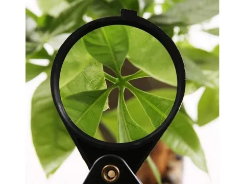 Lupa składana kieszonkowa szkło powiększające 60mm