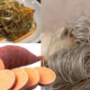 Makaron ze słodkich ziemniaków batatów bezglutenowy nitki sweet potato cienki vermicel glass 500g