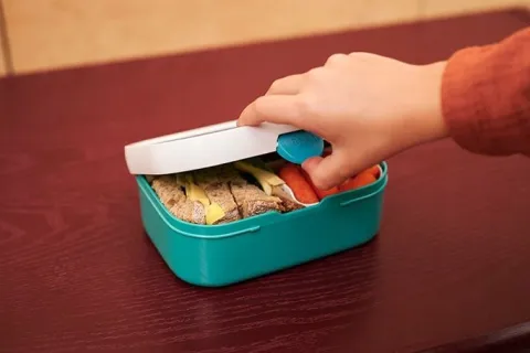 MEPAL LUNCHBOX ŚNIADANIÓWKA BIDON ZESTAW KANAPKI PSI PAW PATROL PUPS NO BPA