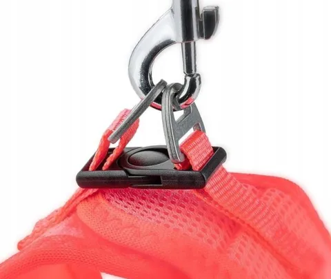 MOCNE SZELKI BEZUCISKOWE DLA MAŁEGO PSA, KOTA S 36-44 cm + GRATIS