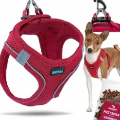 MOCNE SZELKI BEZUCISKOWE DLA MAŁEGO PSA, KOTA S 36-44 cm + GRATIS