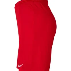 ND05_S6236-S BV6855 657 Spodenki męskie Nike Dry